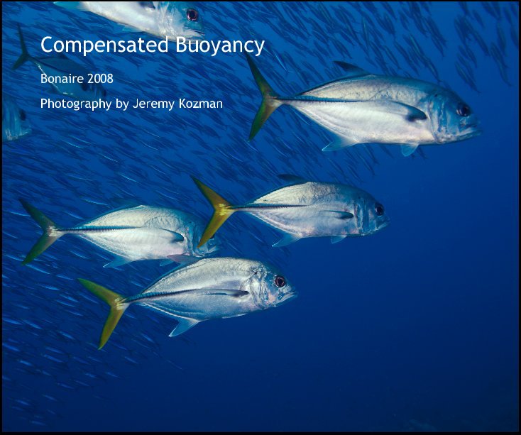 Ver Compensated Buoyancy por by Jeremy Kozman
