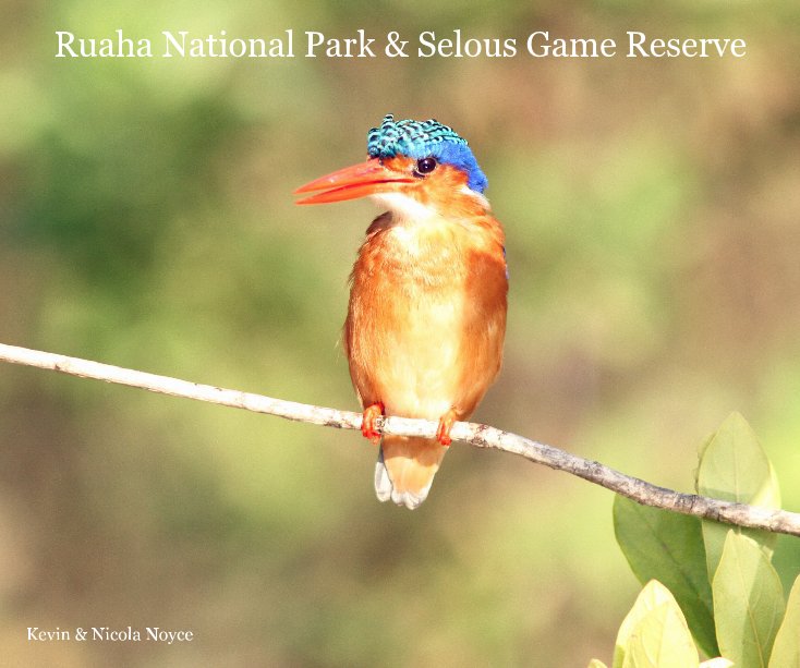 Ver Ruaha National Park & Selous Game Reserve por Kevin & Nicola Noyce