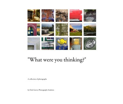 "What were you thinking?" book cover
