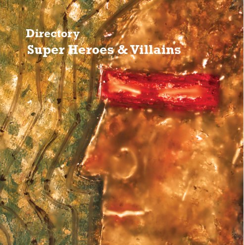 Ver Directory of Super Heroes and Villains por Meghan Mikusch