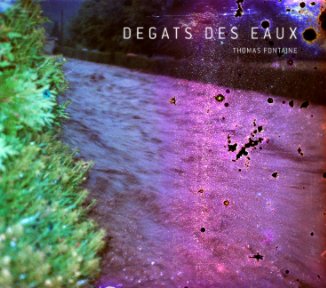 Dégâts des eaux book cover