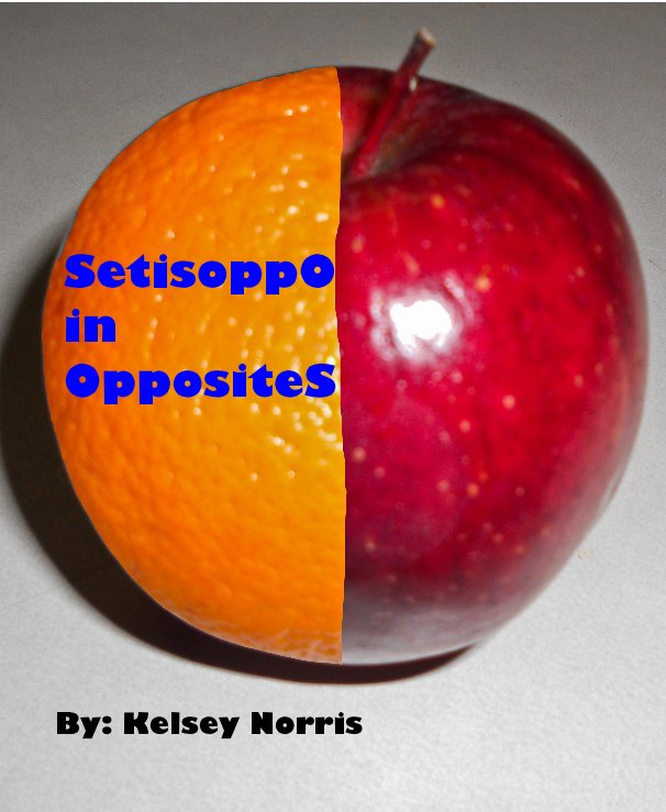 View SetisoppO in OppositeS by By: Kelsey Norris
