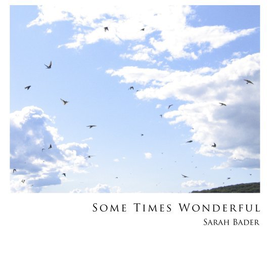 View Some Times Wonderful by Sarah Bader