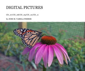 DIGITAL PICTURES book cover