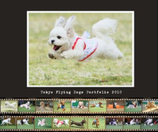 Tokyo Flying Dogs Portfolio 2010 rev. book cover