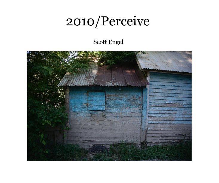 View 2010/Perceive Scott Engel by Scott Engel