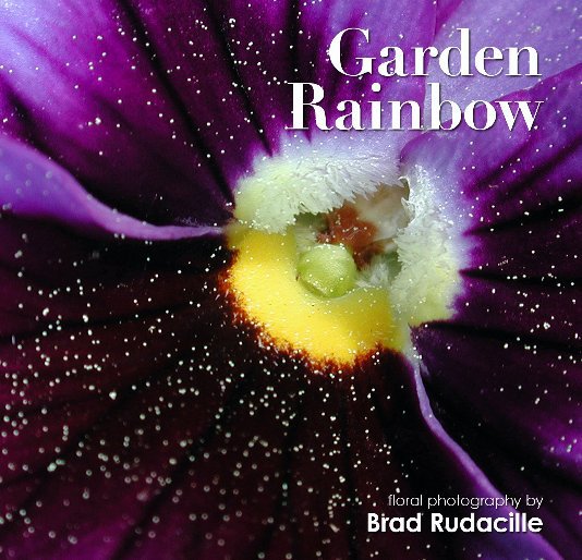 Ver Garden Rainbow por Brad Rudacille