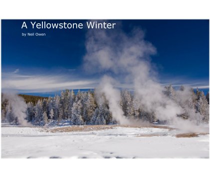 A Yellowstone Winter book cover