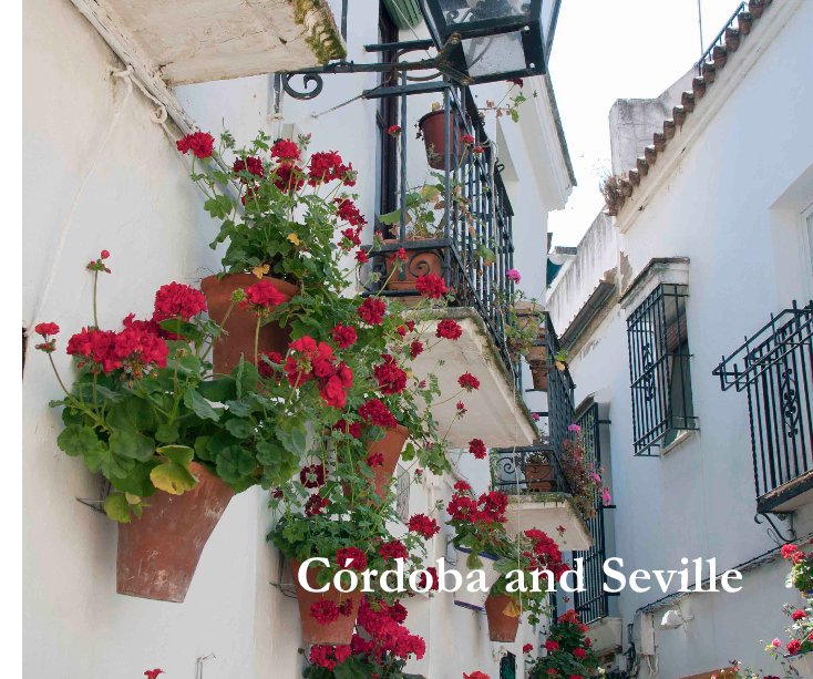 View Córdoba and Seville by Graham Fellows