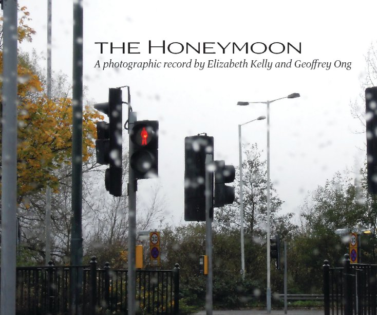 View The Honeymoon by Elizabeth Kelly