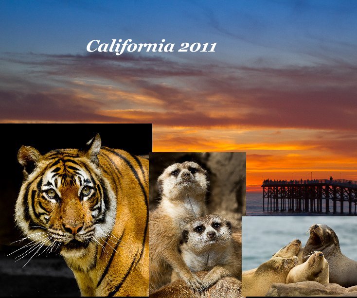 View California 2011 by Kathy Constantinou