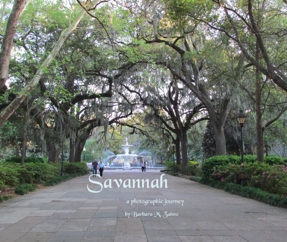 View Savannah by Barbara M. Zahno