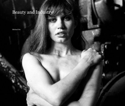 Beauty and Industry book cover