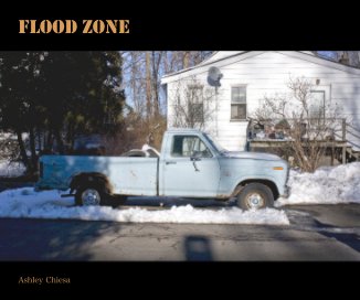 Flood Zone book cover