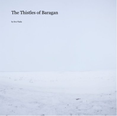 The Thistles of Baragan book cover