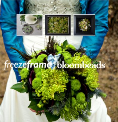 freezeframe | bloombeads book cover