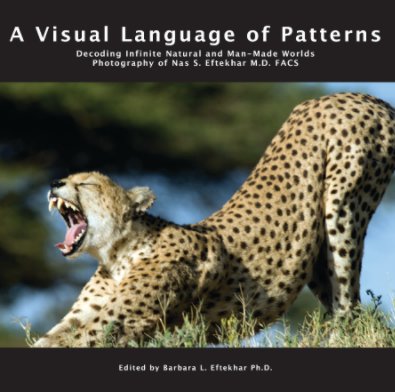 A Visual Language of Patterns book cover