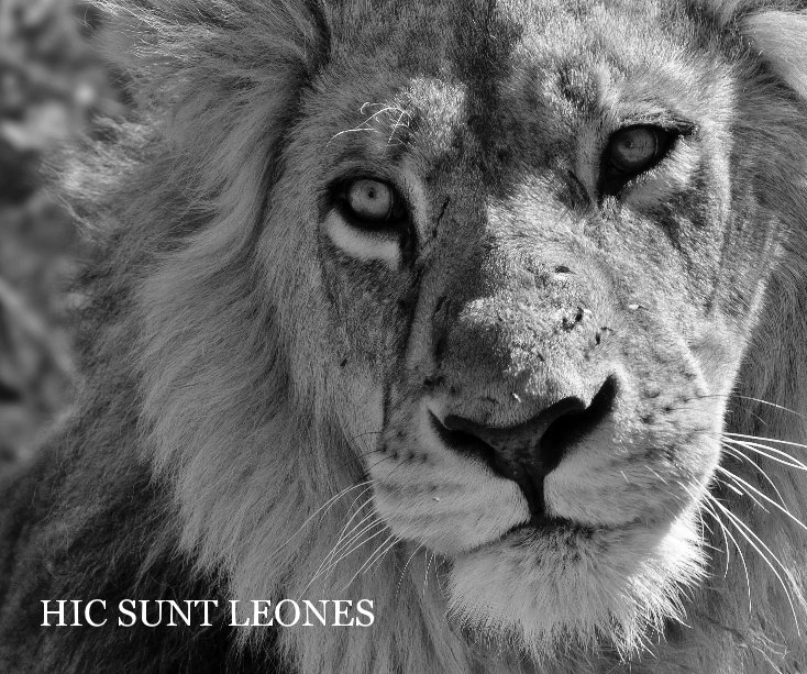 View HIC SUNT LEONES by DONTRUN Photography - www.dontrun.it