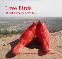 Love Birds book cover