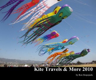 Kite Travels & More 2010 book cover