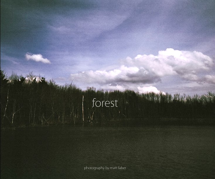 View Forest by Matt Faber
