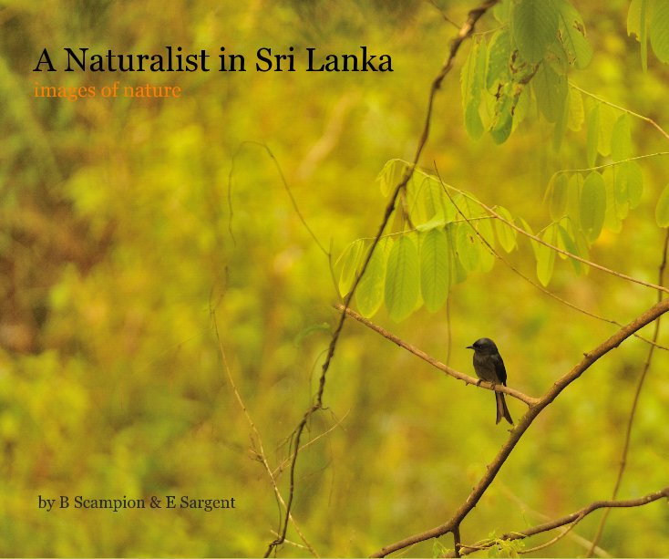 Visualizza A Naturalist in Sri Lanka images of nature by B Scampion & E Sargent di Baz Scampion
