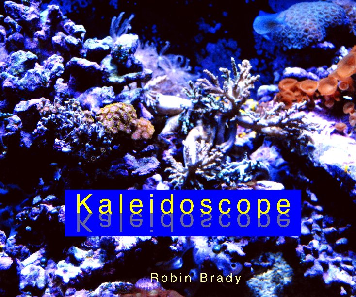 View Kaleidoscope by Robin Brady