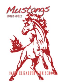 Saint Elizabeth High School 2010-2011 book cover