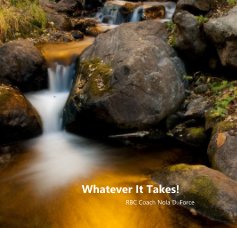 Whatever It Takes! book cover