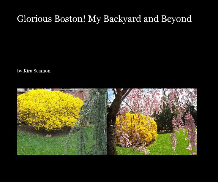 View Glorious Boston! My Backyard and Beyond 2 by Kira Seamon
