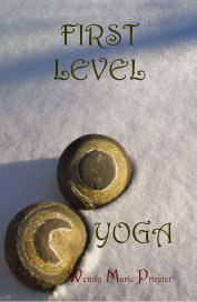 FIRST LEVEL book cover
