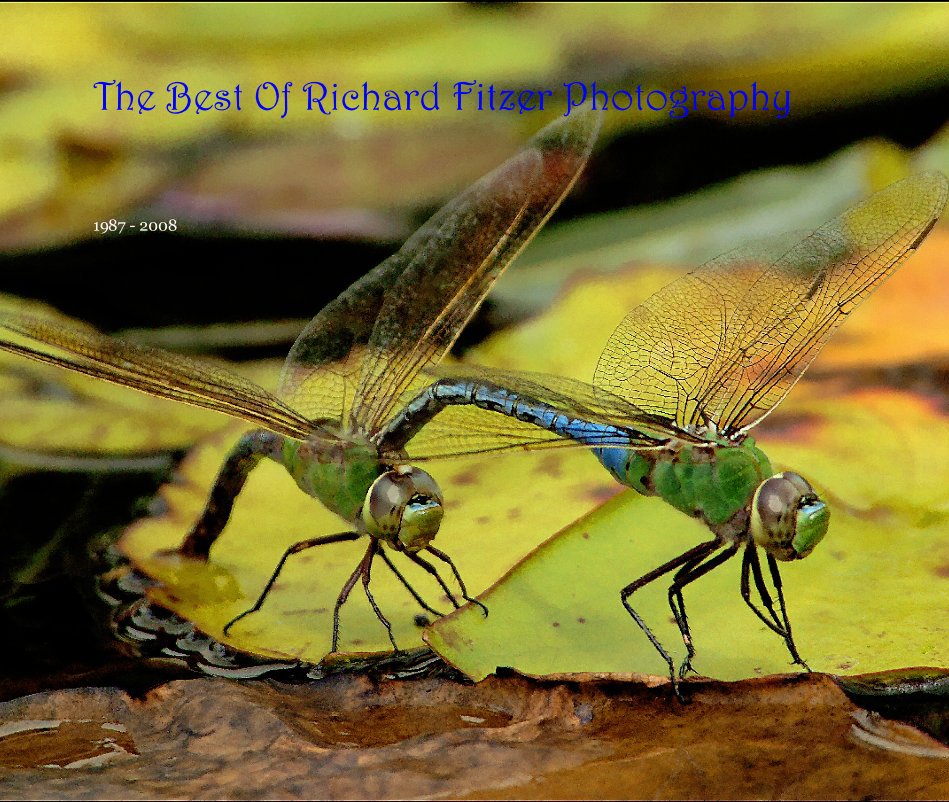 View The Best Of Richard Fitzer Photography by 1987 - 2008