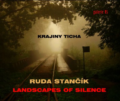 Landscapes of silence book cover