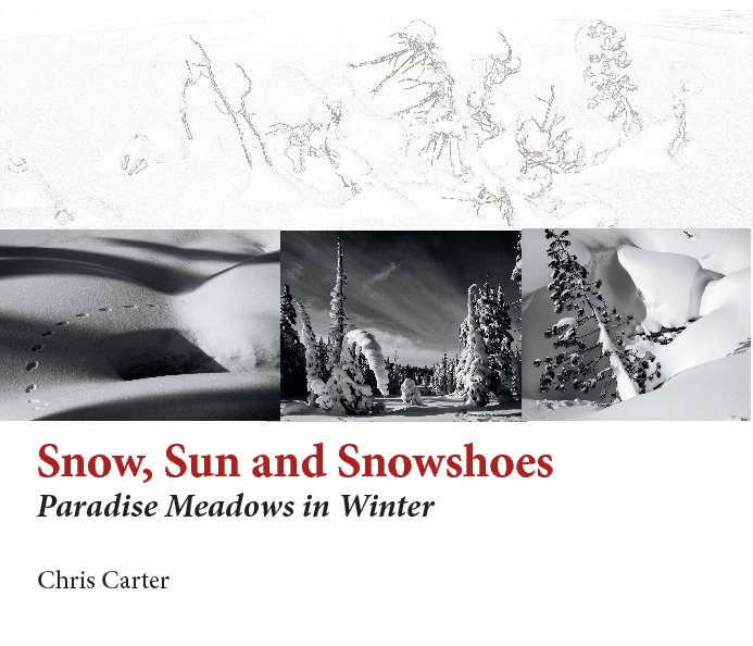 View Snow,Sun and Snowshoes by Chris Carter