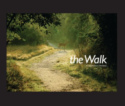The Walk book cover
