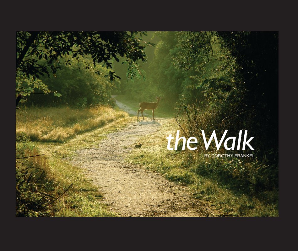 View The Walk by Dorothy Frankel
