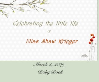 March 3, 2009 book cover