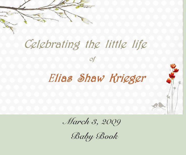 March 3, 2009 nach Shalin Krieger anzeigen
