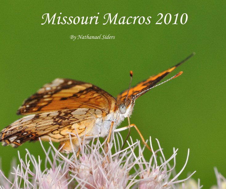Ver Missouri Macros 2010 por Nathanael Siders