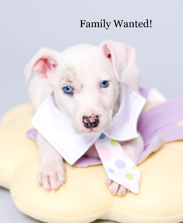 Ver Family Wanted! por Teani Parker