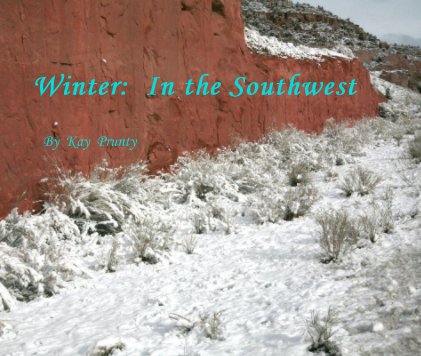 Winter: In the Southwest book cover