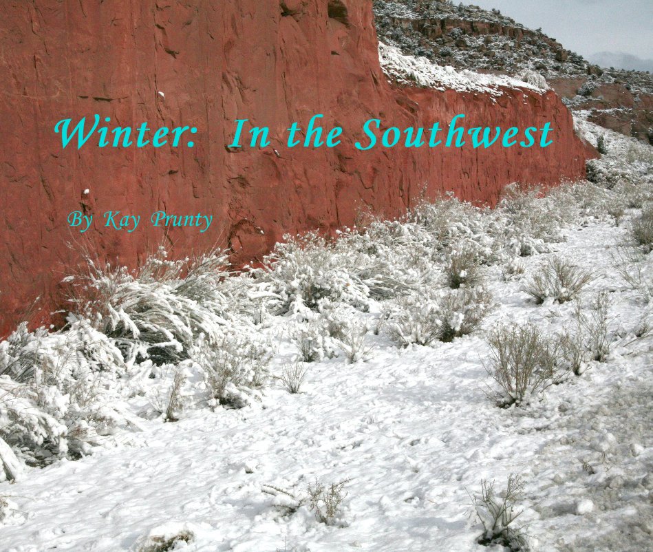 View Winter: In the Southwest by Kay Prunty