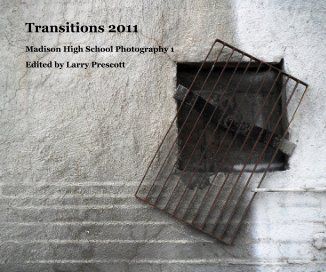 Transitions 2011 book cover