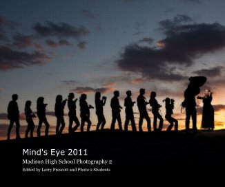 Mind's Eye 2011 book cover