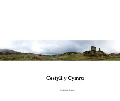 Cestyll y Cymru book cover