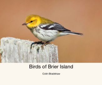 Birds of Brier Island book cover