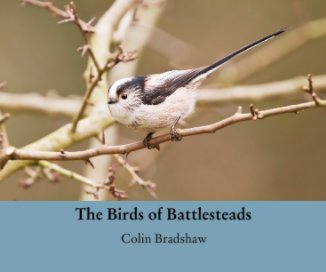 The Birds of Battlesteads book cover