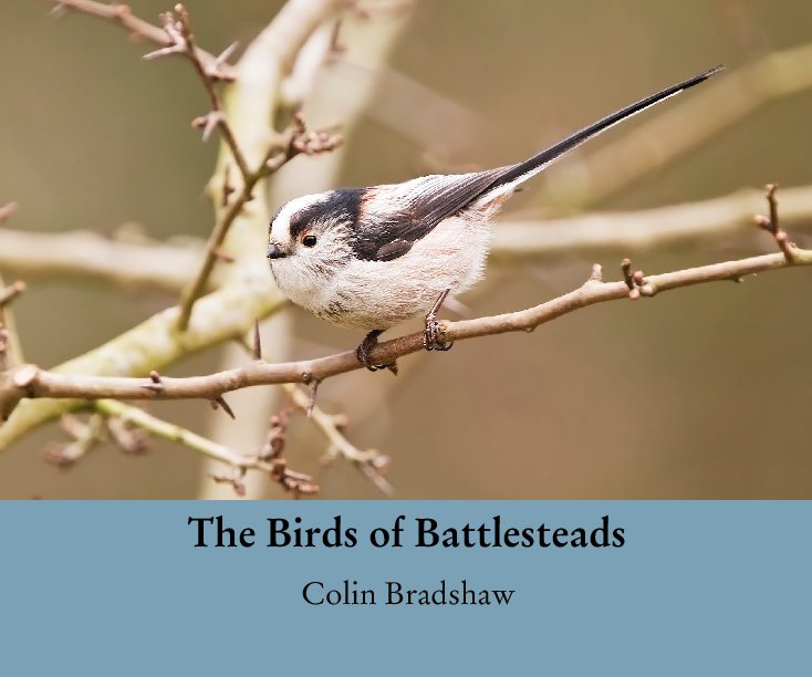 View The Birds of Battlesteads by Colin Bradshaw