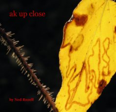 ak up close book cover
