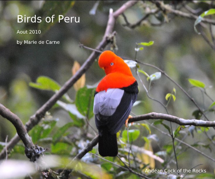 View Birds of Peru by Marie de Carne